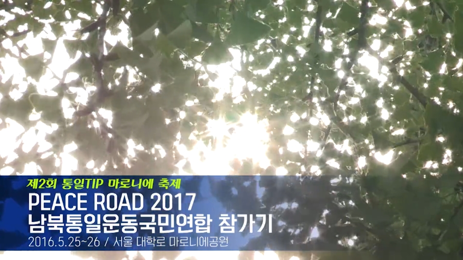 20170525~26 통일부 통일교육주간 마로니에 축제 피스로드 2017 홍보